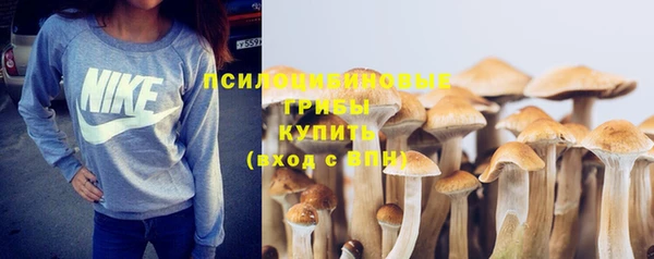 дживик Армянск
