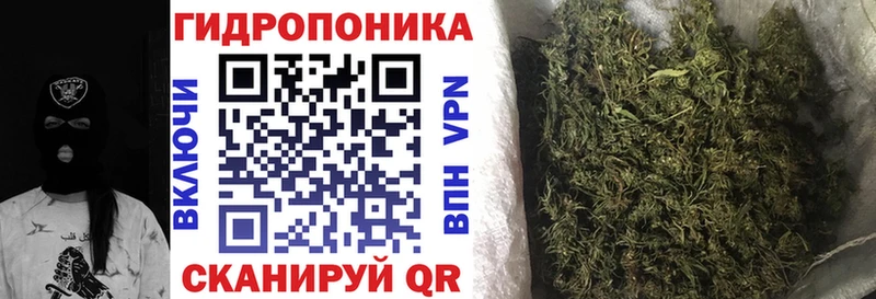 Бошки Шишки гибрид  Избербаш 